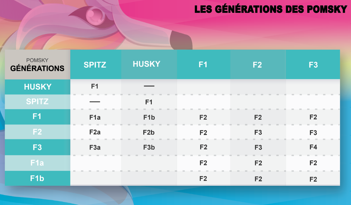 Les différentes générations du Pomsky