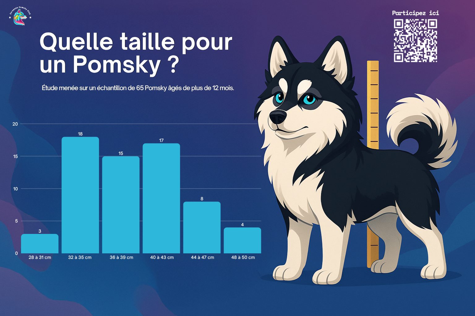 Quelle taille pour un Pomsky adulte ?