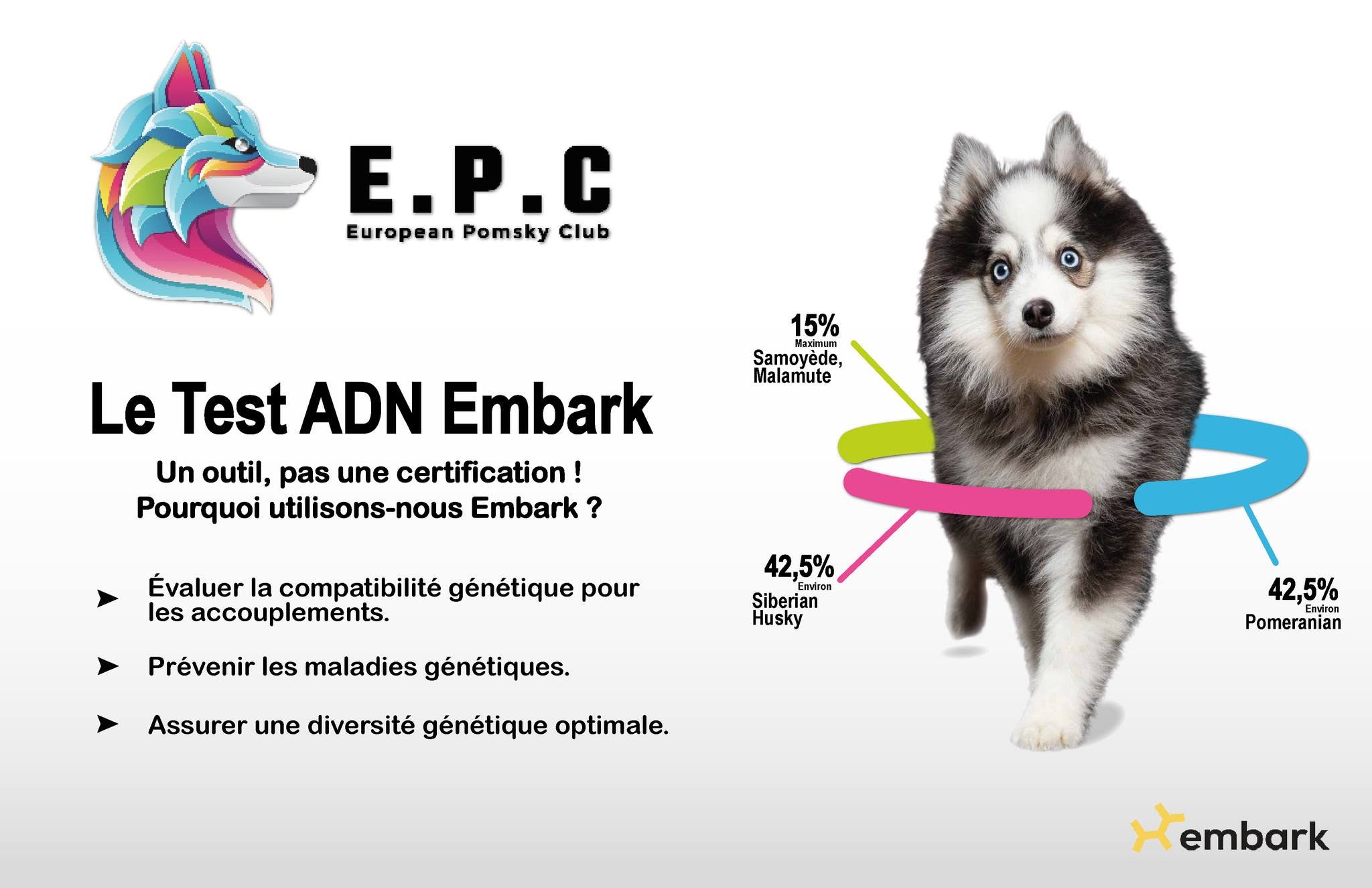 ⚠️ Le test Embark