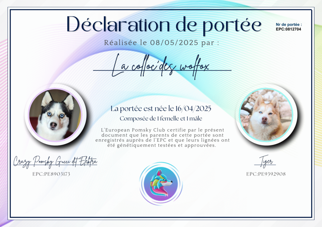 a certificate with pictures of Pomsky