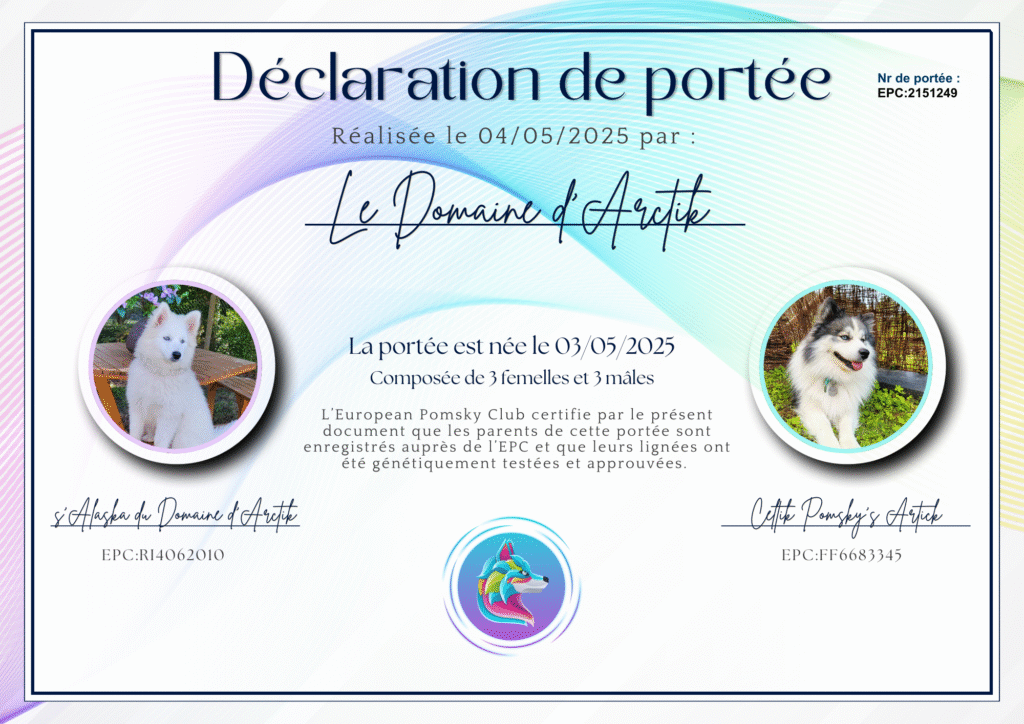 Pomsky déclaration de naissance - EPC2151249