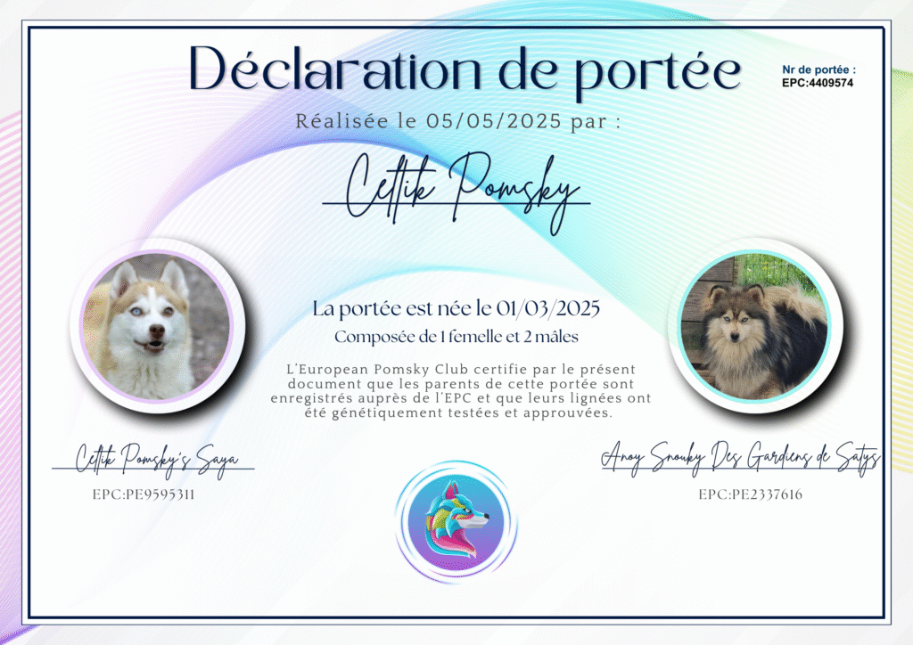 Pomsky déclaration de naissance -EPC4409574