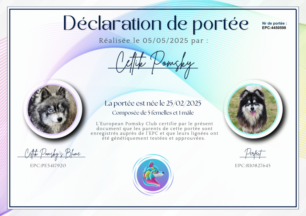 Pomsky déclaration de naissance -EPC4450598