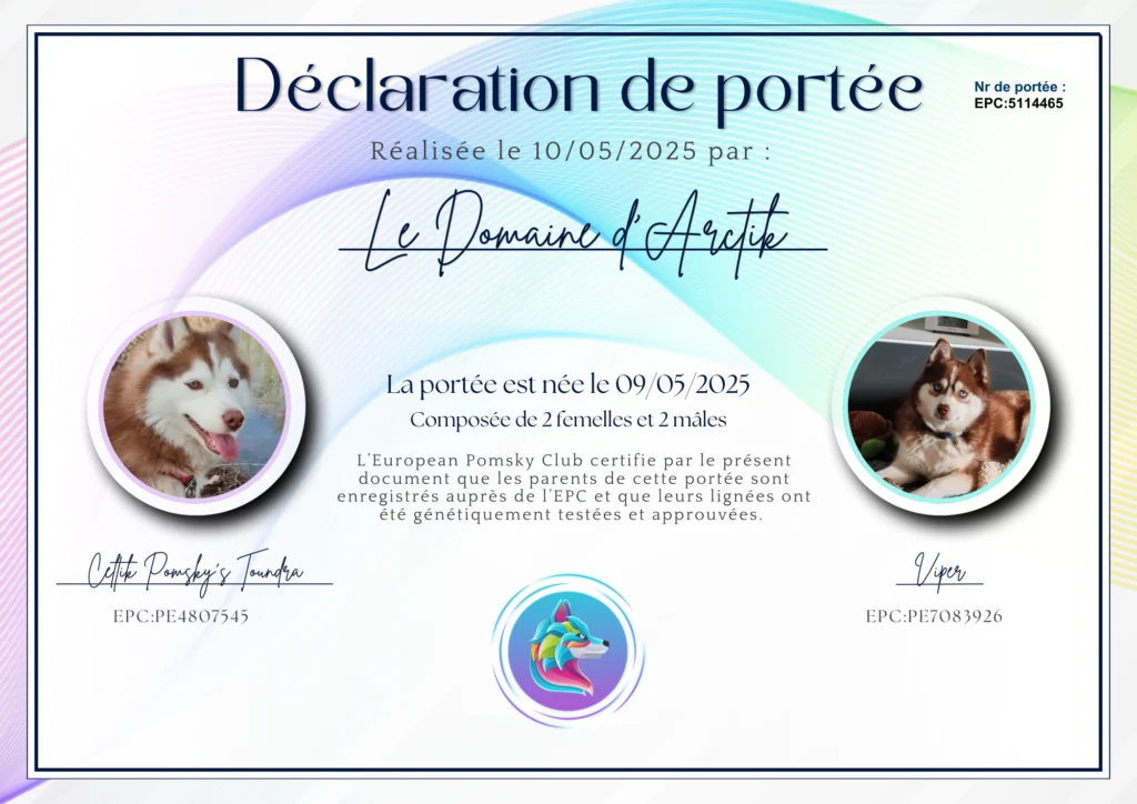 a certificate with pictures of Pomsky
