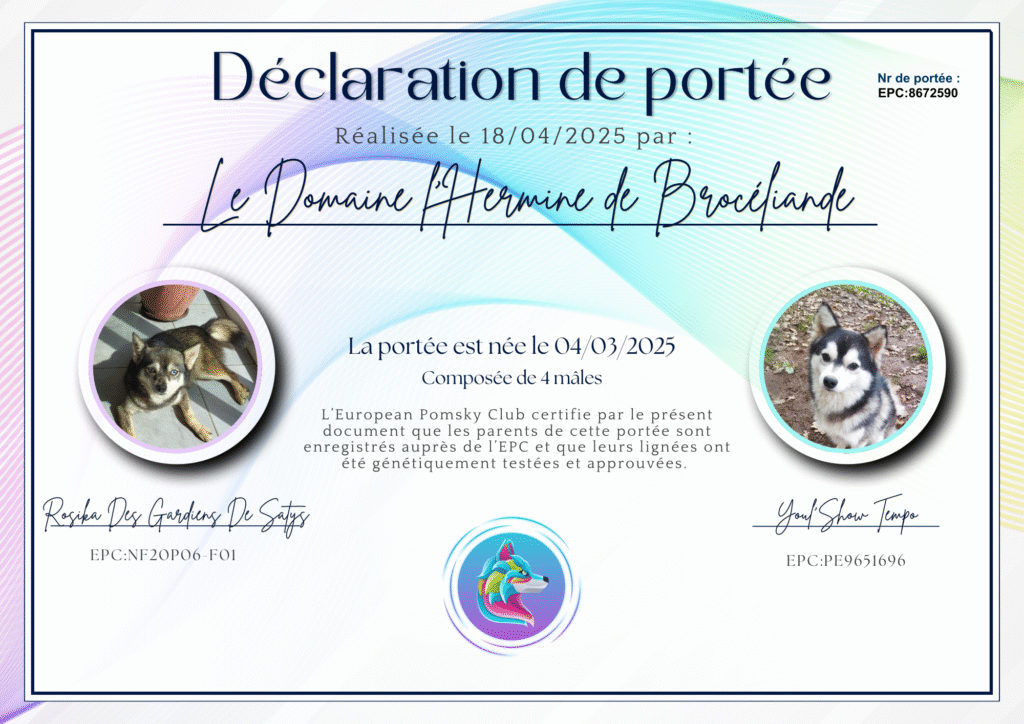 Pomsky déclaration de naissance - EPC8672590