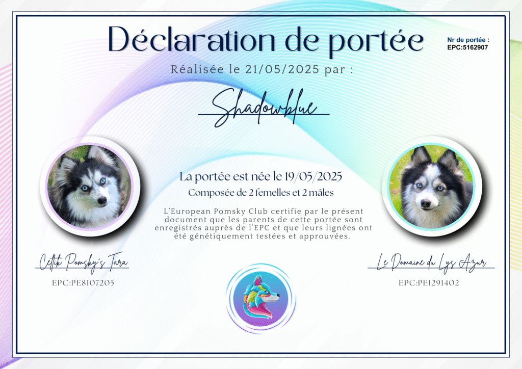 Déclaration de naissance réalisée par un éleveur de Pomsky