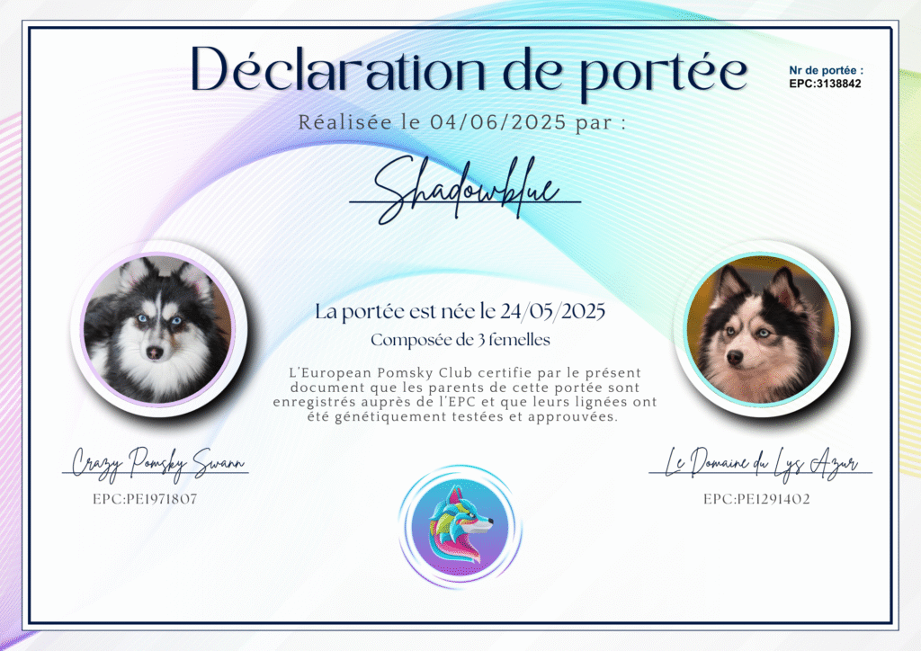 Pomsky declaration de naissance EPC3138842
