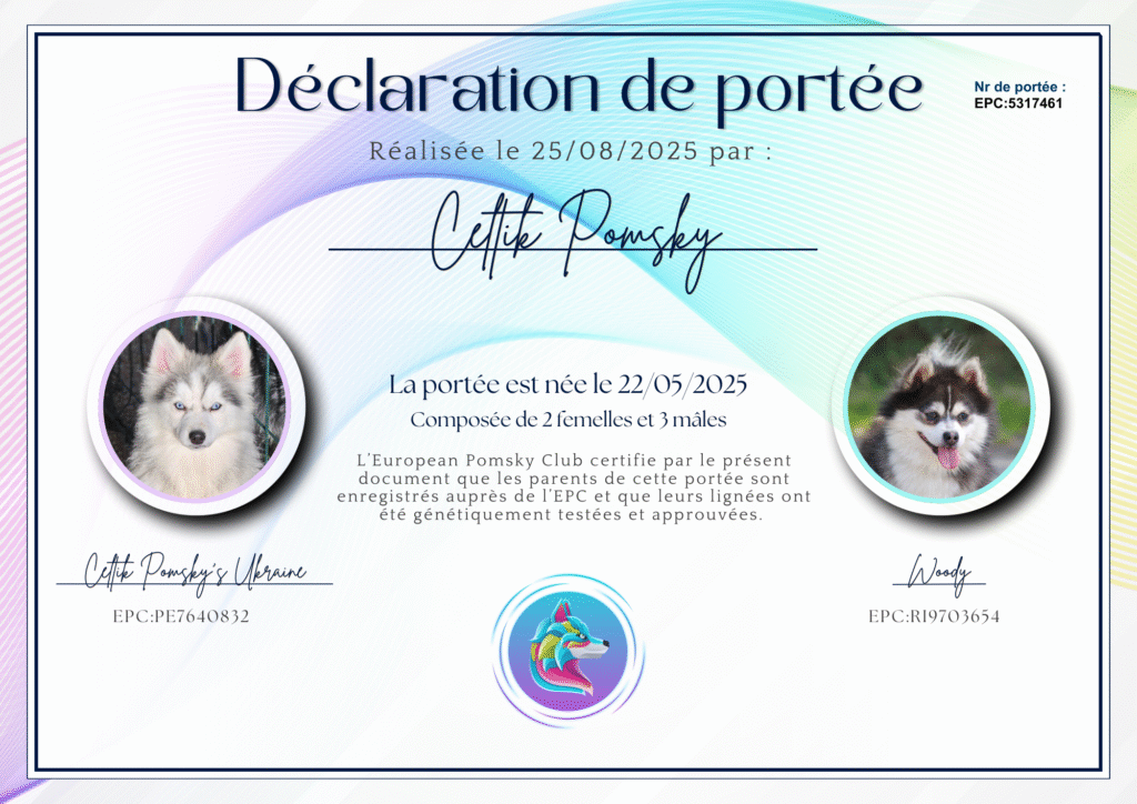 Pomsky declaration de naissance