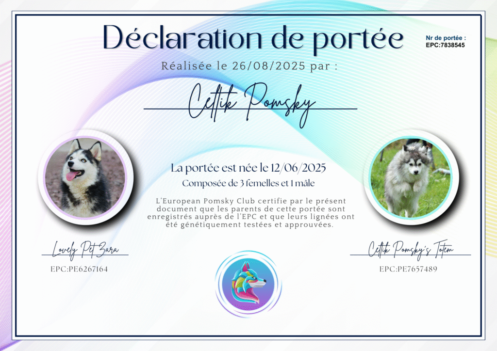 Pomsky declaration de naissance2
